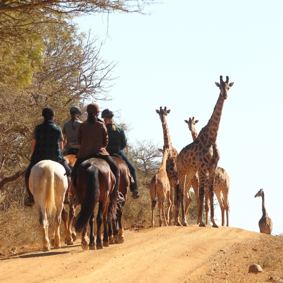 5 days Horseback Safari at Pakamisa